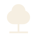 STRONG ROOTS